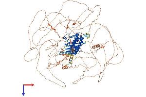 AlphaFold protein structure predicition of Human Recombinant MAP3K19 Protein, UniprotID Q56UN5