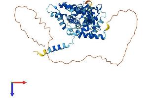 AlphaFold protein structure predicition of Human Recombinant MICU1 Protein, UniprotID Q9BPX6