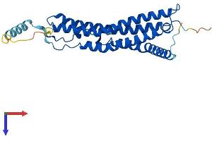 AlphaFold protein structure predicition of Human Recombinant PSME1 Protein, UniprotID Q06323
