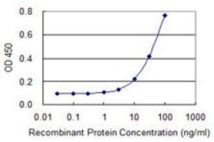 Detection limit for recombinant GST tagged IQCH is 1 ng/ml as a capture antibody. (IQCH anticorps  (AA 301-400))