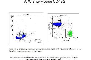 Image no. 1 for anti-CD45 (CD45.2 Allogen) antibody (APC) (ABIN3044650) (CD45.2 anticorps  (APC))