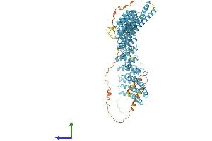 AlphaFold protein structure predicition of Mouse Recombinant Xab2 Protein, UniprotID Q9DCD2