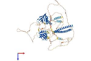 AlphaFold protein structure predicition of Human Recombinant AFAP1L2 Protein, UniprotID Q8N4X5