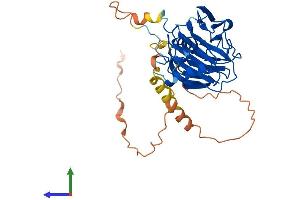 AlphaFold protein structure predicition of Human Recombinant SPSB3 Protein, UniprotID Q6PJ21