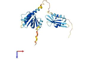AlphaFold protein structure predicition of Human Recombinant STAP1 Protein, UniprotID Q9ULZ2