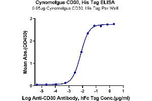 Immobilized Cynomolgus CD30, His Tag at 0.