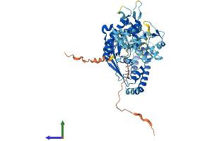 AlphaFold protein structure predicition of Human Recombinant LPCAT4 Protein, UniprotID Q643R3