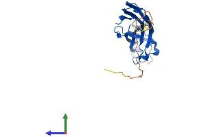 AlphaFold protein structure predicition of Human Recombinant ASF1B Protein, UniprotID Q9NVP2