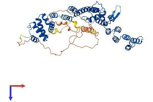 AlphaFold protein structure predicition of Human Recombinant VIPAS39 Protein, UniprotID Q9H9C1