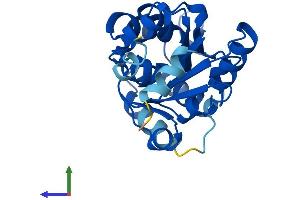 AlphaFold protein structure predicition of Human Recombinant PSPH Protein, UniprotID P78330