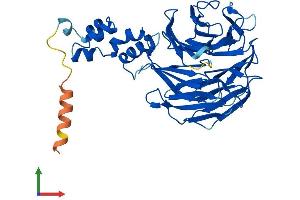 AlphaFold protein structure predicition of Human Recombinant FBXW4 Protein, UniprotID P57775
