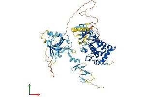 AlphaFold protein structure predicition of Mouse Recombinant Limk2 Protein, UniprotID O54785