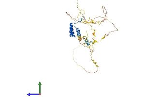 AlphaFold protein structure predicition of Human Recombinant NKX6-1 Protein, UniprotID P78426