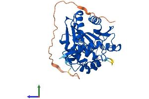 AlphaFold protein structure predicition of Mouse Recombinant Abhd11 Protein, UniprotID Q8K4F5
