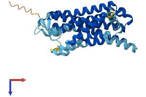 AlphaFold protein structure predicition of Human Recombinant OR1A1 Protein, UniprotID Q9P1Q5
