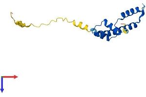 AlphaFold protein structure predicition of Human Recombinant CENPA Protein, UniprotID P49450
