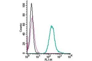 Cell surface detection of Neogenin by direct flow cytometry in live intact mouse J774 macrophage cells: + Rabbit IgG isotype control-FITC. (NEO1 anticorps  (Extracellular) (FITC))