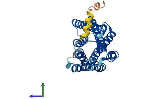 AlphaFold protein structure predicition of Human Recombinant RGR Protein, UniprotID P47804