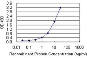 Sandwich ELISA detection sensitivity ranging from 0. (KIT (Humain) Matched Antibody Pair)