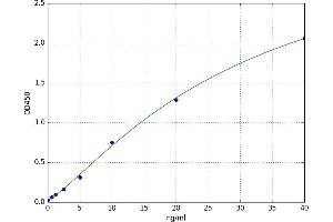 Fibrillin 2 (FBN2) ELISA Kit