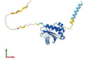 AlphaFold protein structure predicition of Mouse Recombinant Copz2 Protein, UniprotID Q9JHH9