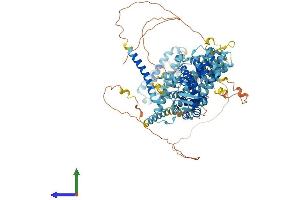 AlphaFold protein structure predicition of Human Recombinant EIF3C Protein, UniprotID Q99613