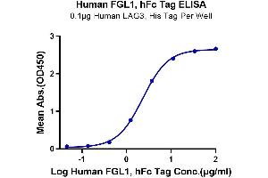 Immobilized Human LAG3, His Tag at 1 μg/mL (100 μL/Well) on the plate.