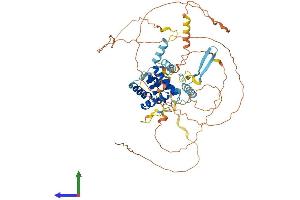 AlphaFold protein structure predicition of Mouse Recombinant Cables1 Protein, UniprotID Q9ESJ1