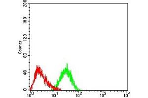 Flow cytometric analysis of HL-60 cells using CD248 mouse mAb (green) and negative control (red).