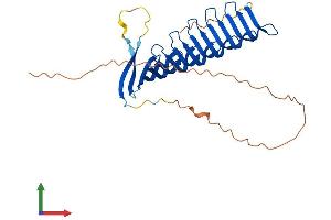 AlphaFold protein structure predicition of Mouse Recombinant Rsph1 Protein, UniprotID Q8VIG3