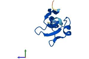 AlphaFold protein structure predicition of Human Recombinant CKS2 Protein, UniprotID P33552