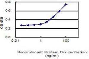 Detection limit for recombinant GST tagged LRRC34 is 1 ng/ml as a capture antibody. (LRRC34 anticorps  (AA 1-419))