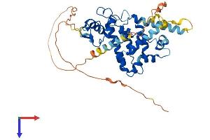 AlphaFold protein structure predicition of Mouse Recombinant Nr2e3 Protein, UniprotID Q9QXZ7