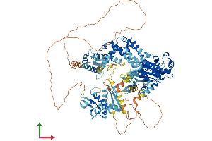 AlphaFold protein structure predicition of Human Recombinant GTF2IRD2 Protein, UniprotID Q86UP8