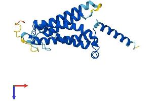 AlphaFold protein structure predicition of Human Recombinant DOLPP1 Protein, UniprotID Q86YN1