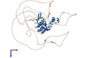 AlphaFold protein structure predicition of Mouse Recombinant Itpkc Protein, UniprotID Q7TS72