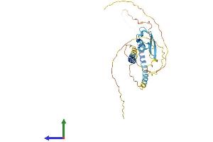 AlphaFold protein structure predicition of Mouse Recombinant Lysmd3 Protein, UniprotID Q99LE3