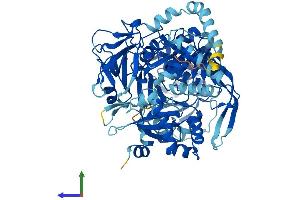 AlphaFold protein structure predicition of Human Recombinant ACSL4 Protein, UniprotID O60488
