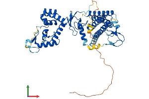 AlphaFold protein structure predicition of Human Recombinant ARIH2 Protein, UniprotID O95376