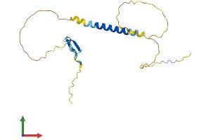 AlphaFold protein structure predicition of Human Recombinant TNFRSF13C Protein, UniprotID Q96RJ3