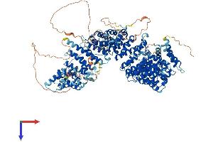 AlphaFold protein structure predicition of Mouse Recombinant Heatr6 Protein, UniprotID Q6P1G0