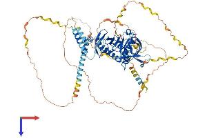 AlphaFold protein structure predicition of Mouse Recombinant Apbb1ip Protein, UniprotID Q8R5A3