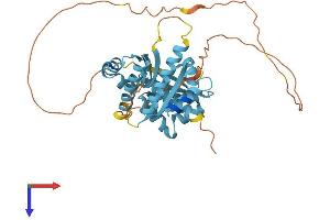 AlphaFold protein structure predicition of Human Recombinant PCBP2 Protein, UniprotID Q15366
