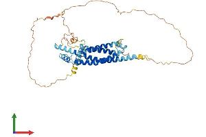 AlphaFold protein structure predicition of Human Recombinant MARVELD3 Protein, UniprotID Q96A59