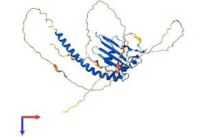 AlphaFold protein structure predicition of Mouse Recombinant Tspyl1 Protein, UniprotID O88852