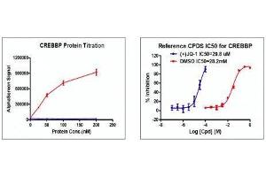 Recombinant CREBBP (1081-1197) activity using AlphaScreen.