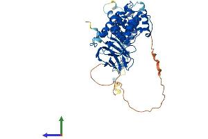 AlphaFold protein structure predicition of Human Recombinant GMCL1 Protein, UniprotID Q96IK5