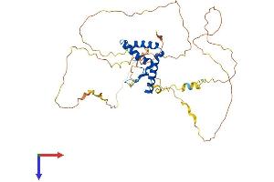 AlphaFold protein structure predicition of Mouse Recombinant Sox11 Protein, UniprotID Q7M6Y2