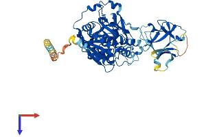 AlphaFold protein structure predicition of Mouse Recombinant Galnt14 Protein, UniprotID Q8BVG5