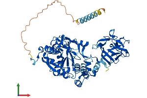 AlphaFold protein structure predicition of Mouse Recombinant Galnt2 Protein, UniprotID Q6PB93